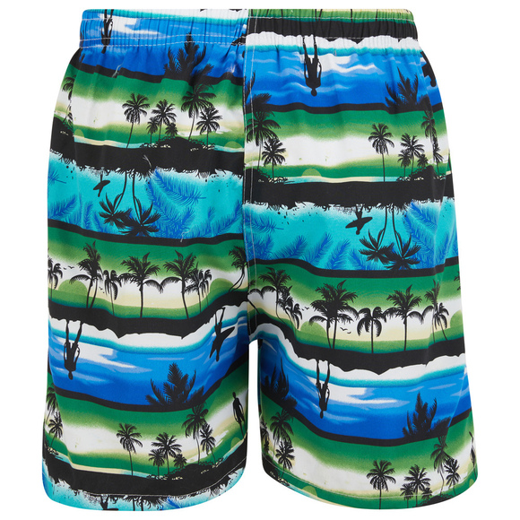 Mens Swim Trunks Swimming Shorts Board Bathing Suit, Small Medium Large X-Large - Picture 4 of 8